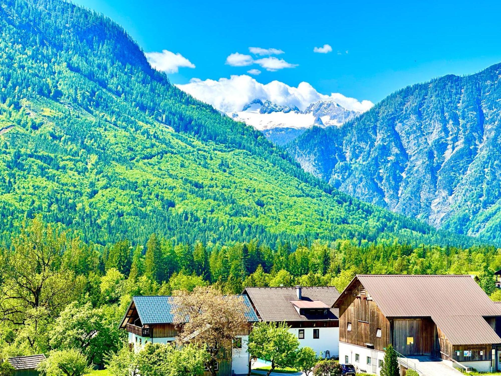 Das Alpenzeit Appartement Mit Just Private Terrasse (Adults Only) Bad Aussee Exterior foto
